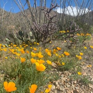 Meet your Posher, Holly